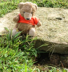 I am not a groundhog by Nan Lundeen